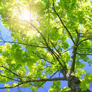 手机看片日韩国产
